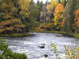 Färnebofjärden National Park