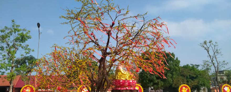 Chùa Cổ Am