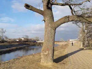 Verkhniy Park
