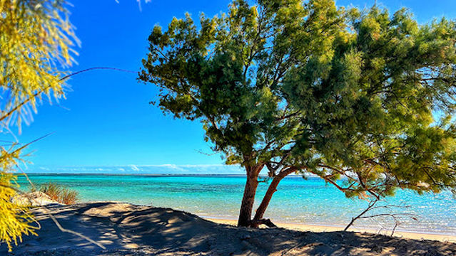 South Lefroy Bay , (Ningaloo Station)
