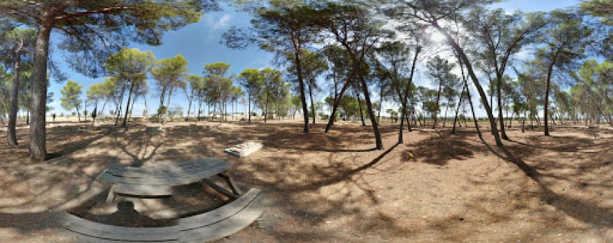 Parque De Los Pinos