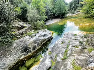 Alta Garrotxa
