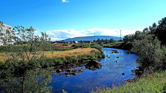 V Chest' Pervogo Upominaniya Lovozerskogo Pogosta