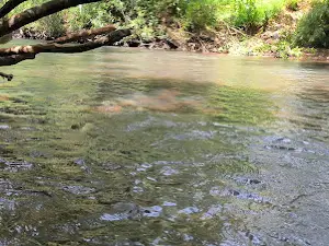 parque santa terezinha