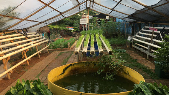 Situ Rawa Gede Kota Bekasi