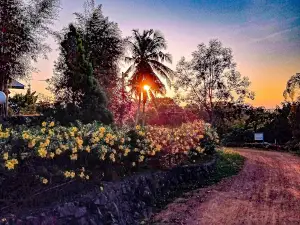 Foresta Bukit