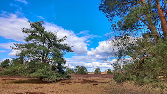 Wanderrastplatz mit Schutzhütte