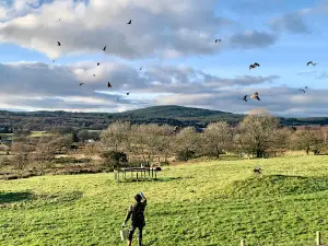 Red Kite Centre, Laurieston