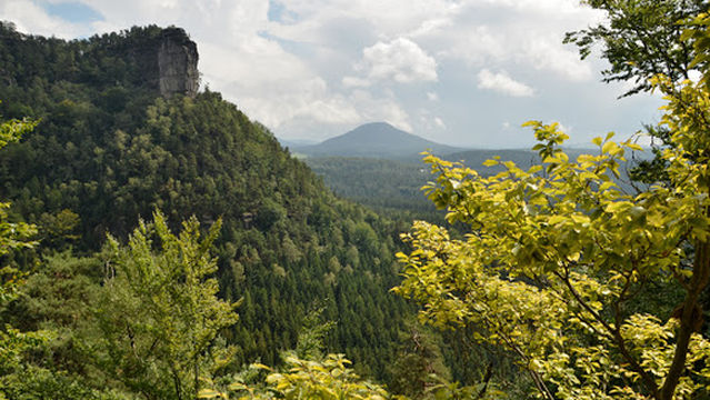 Rose Hill / Růžovský vrch