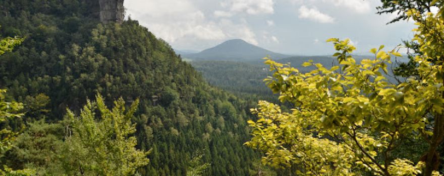 Rose Hill / Růžovský vrch