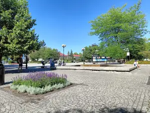 Town Hall Square (Freedom Square)