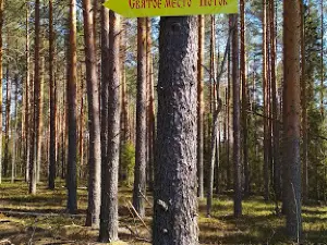 Svyatoye Mesto "Potok"
