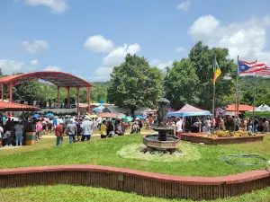 Festival de las Flores Aibonito