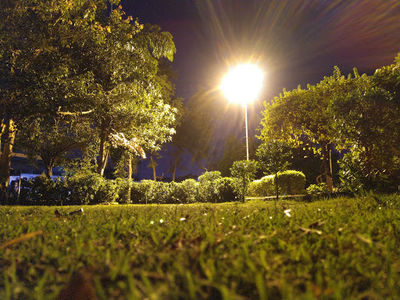 Varachha Chopati Garden