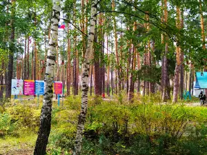 Detskiy Ozdorovitel'nyy Lagel' Im. T. Savichevoy