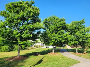 Dorton Park