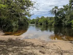 Praia do Alecrim