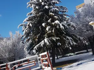 Park