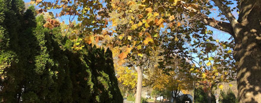 Leo-Cedarville Town Park