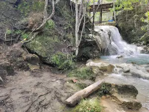 Деса Уисата Эр Пути Бенгалон