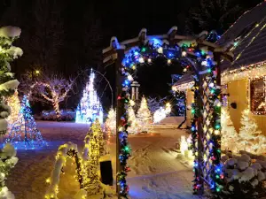 Juleljus