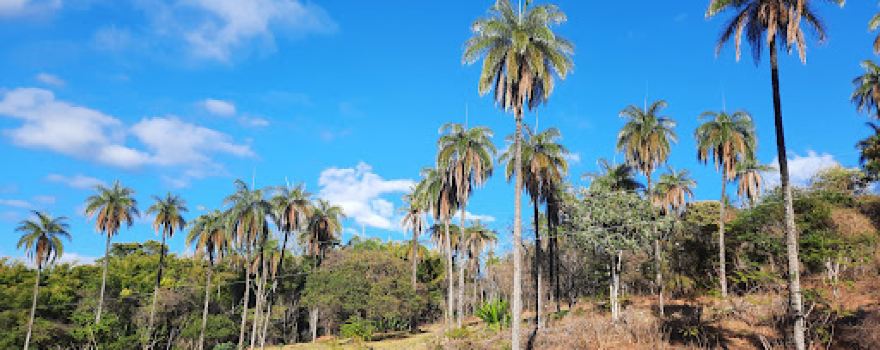 Entrance Serra Do Cipo National Park