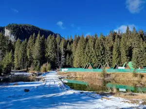 Zănoaga Dreamland