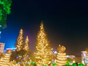 Công Viên Ka Long