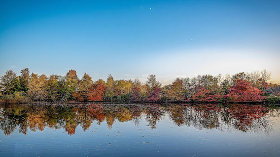 Claude Moore Nature Center
