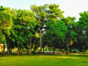 Master Chandgiram Sports Stadium, Saifai