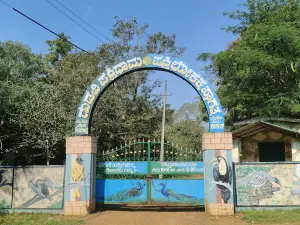 Guduvi Bird Sanctuary