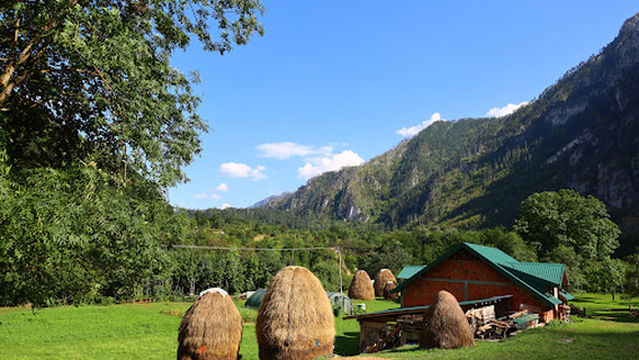 Eko Oaza-Tear of Europe