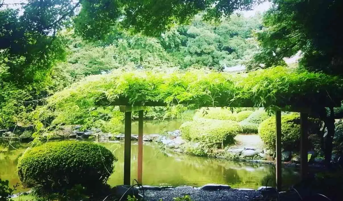 5_新宿御苑