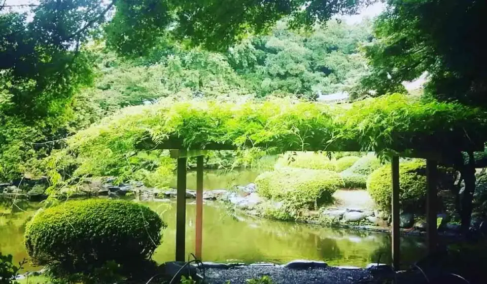 5_Shinjuku Gyoen National Garden