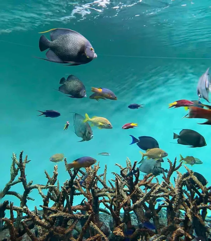 3_Tokyo Sea Life Park