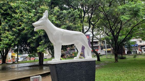 Parque del Perro