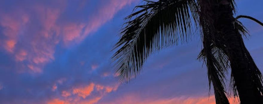 Miami Massage Therapy