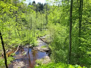 Jurkiškis River Trail