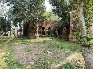 Nagarpur Upazila Health Complex Jame Mosque