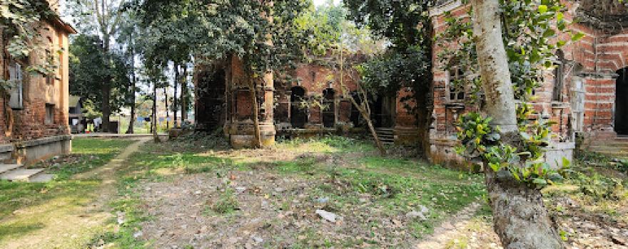 Nagarpur Upazila Health Complex Jame Mosque