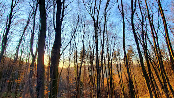 Spomenik NOB na Iriškom Vencu