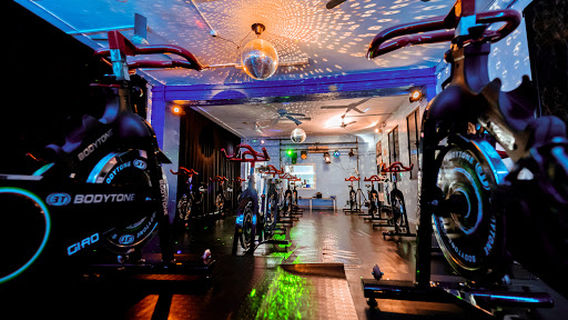 System Sport Contact