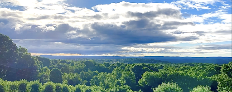 Quartz Rock Vineyard and Cidery