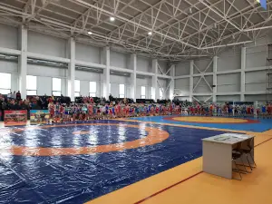 Centrul pentru Tineret și Sport Căușeni