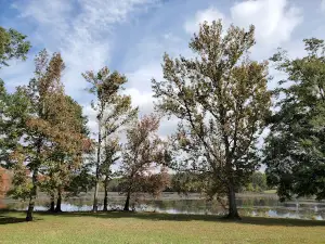 Stevenson Parks & Recreation