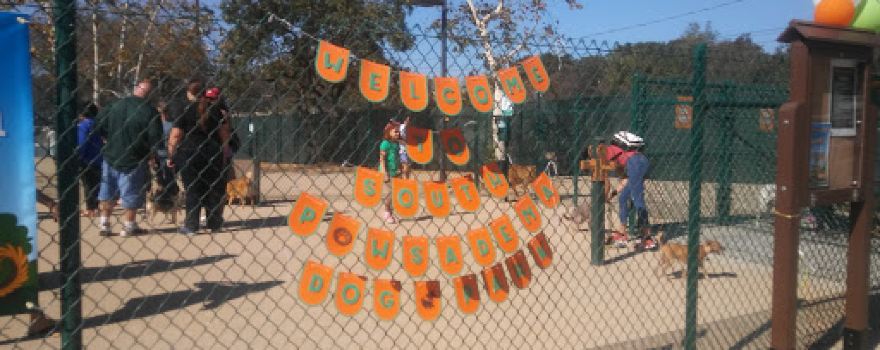 South Pasadena Skate Park