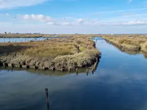 Passadiços Ria de Aveiro