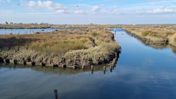 Passadiços Ria de Aveiro