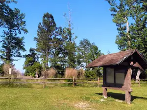 Neuse River Recreation Area
