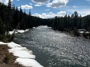 Wapiti Crossing Recreation Site